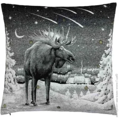    Night  45x45   (2975)