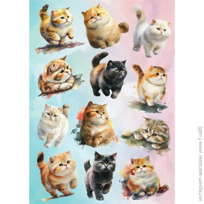      49x70 