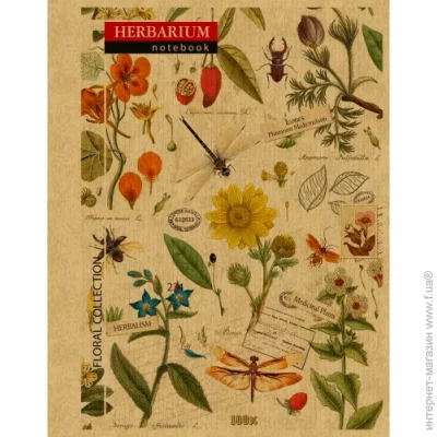   Herbarium B6  