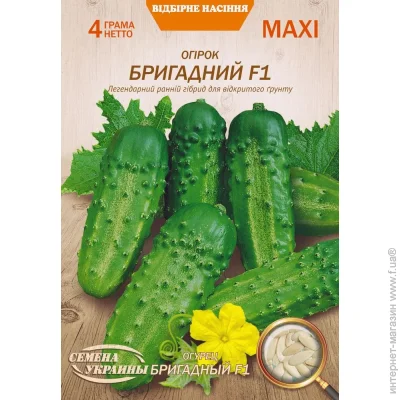     F1 4 (4823099803729) 4 