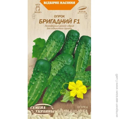     F1 597300 0,5 0.5 