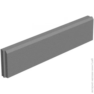       100020060 