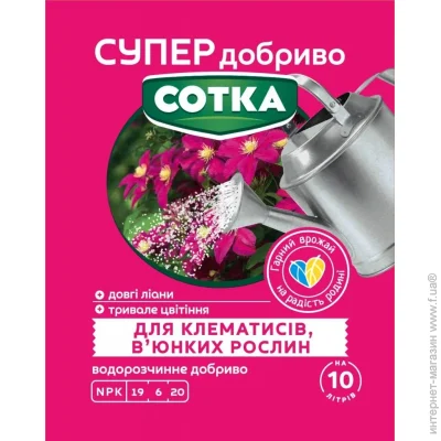 ѳ         20 