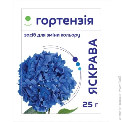 ѳ           25 