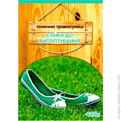 ѳ         400  400 