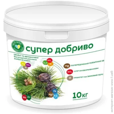 ѳ    SUPER SCANDIC       10 