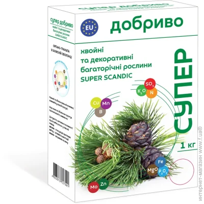 ѳ          Super Scandic 1 