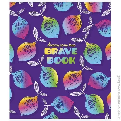      Brave book 024-3022L-2  , 24 