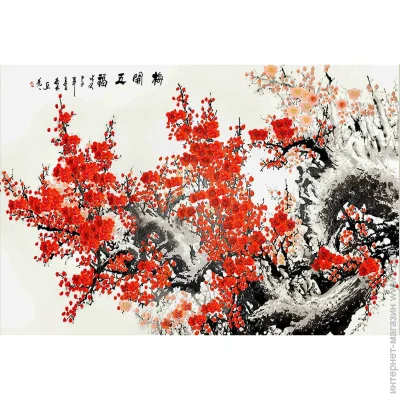      120x80 