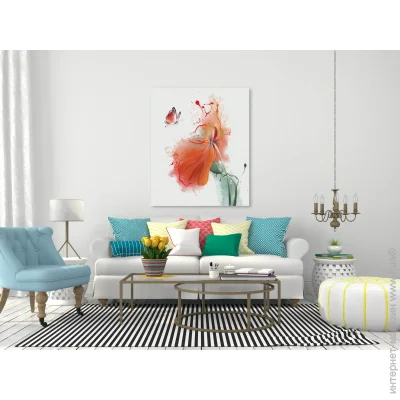      55x80 