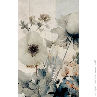       (3) 50x80 