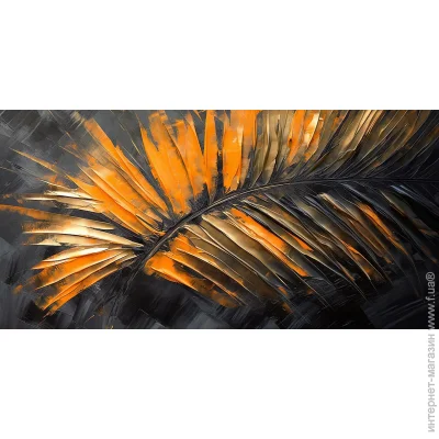        50x100 