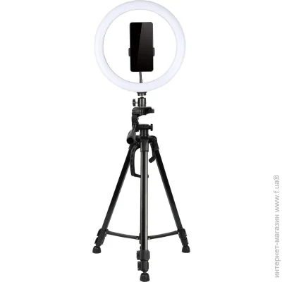 Accento Lighting ʳ  26    