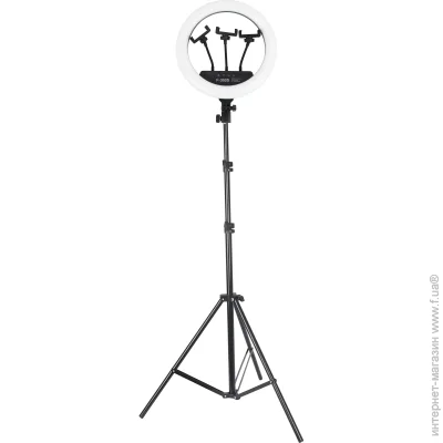 Accento Lighting   34    