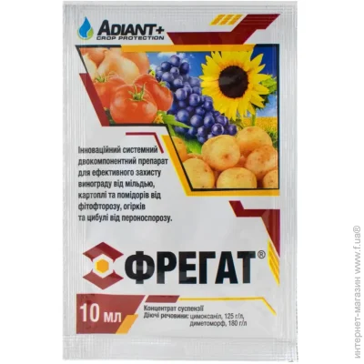 Adiant   10   (23423)