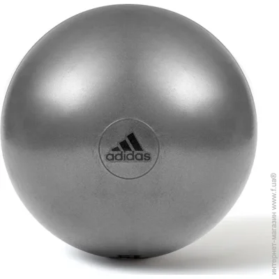 ' Adidas Gymball (ADBL-11246GR-65 )