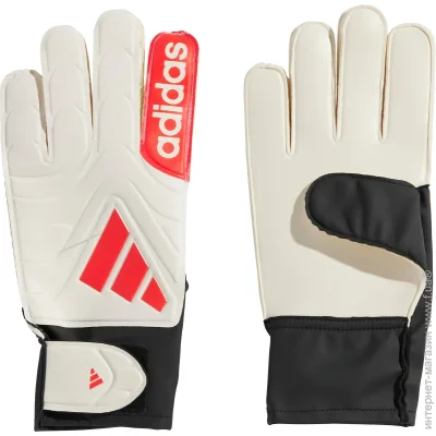   Adidas COPA GL CLB (JH3789-11)