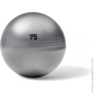  Adidas Gymball   65  (ADBL-11246GR)