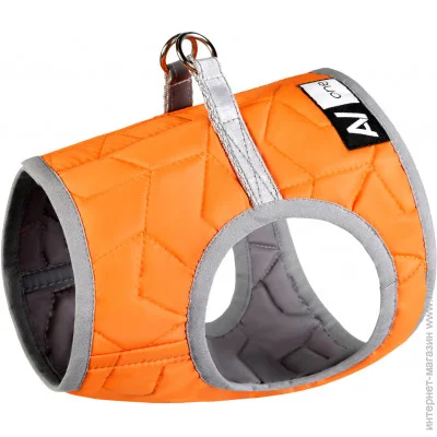  '    AiryVest ONE ,  XS2 (29384)