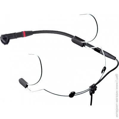 ̳ AKG C555 L