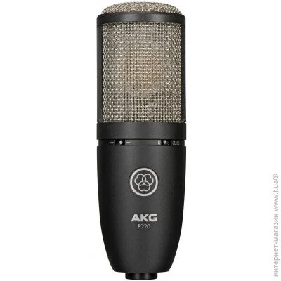 AKG ̳  P220
