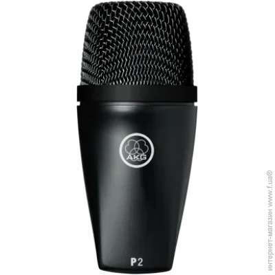 ̳ AKG P2