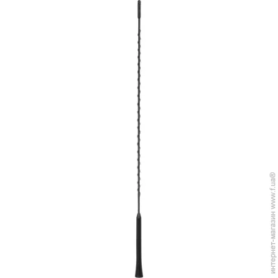   Alca      L 55