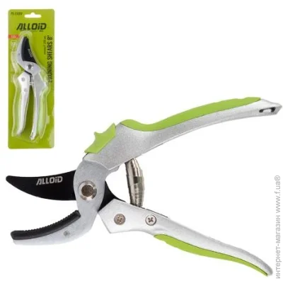  Alloid      (PS-01097) Alloid