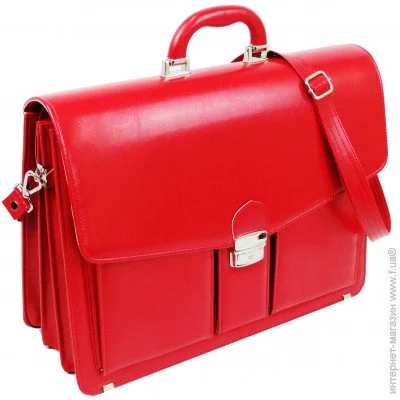 Ƴ     AMO  (SST02 red)