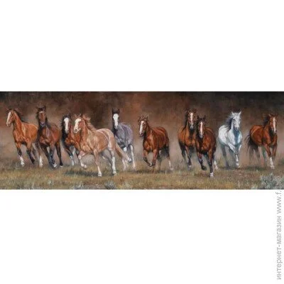 Пазл класичний Anatolian Пазли "Воля", 1000 Елементів (1010) Пазл класичний Anatolian Пазли "Воля", 1000 Елементів (1010)