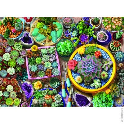 Пазл классический Anatolian Пазлы Наборы Кактусов 1000 Элементов (1122) Пазл классический Anatolian Пазлы Наборы Кактусов 1000 Элементов (1122)