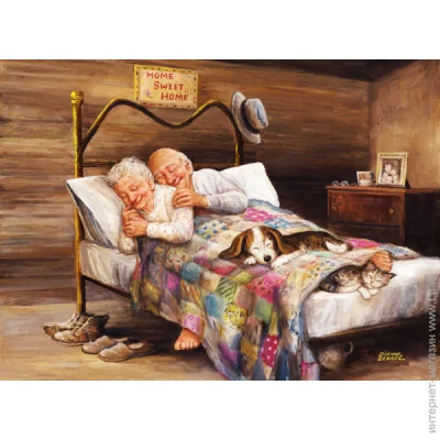 Пазл классический Anatolian Пазлы "Домашний Уют", 1000 Элементов (3124) Пазл классический Anatolian Пазлы "Домашний Уют", 1000 Элементов (3124)