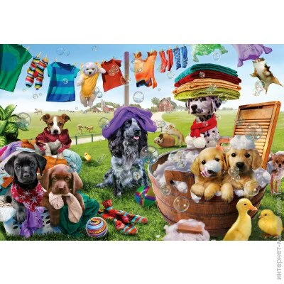   Anatolian  " ", 260  (3313)