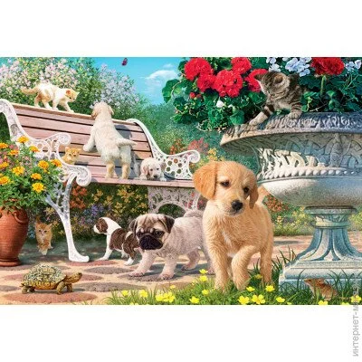   Anatolian  "", 260  (3326)