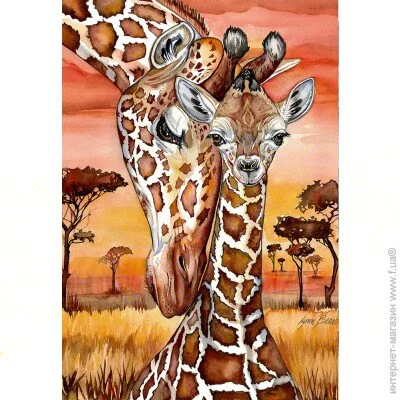   Anatolian  "", 500  (3615)