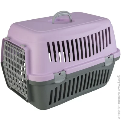 Animall  584242  -