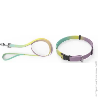 Animall  +  (9646),  3