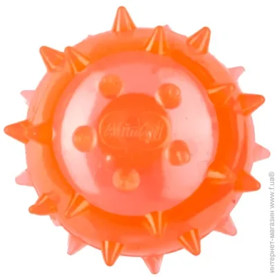 Animall    Fun     45  