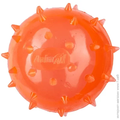 Animall  Fun    65  