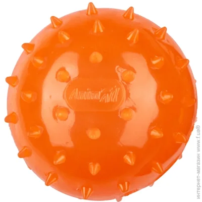Animall ' Fun    75  