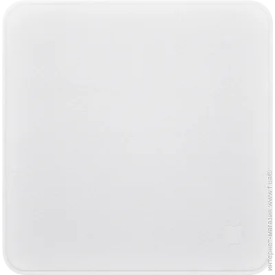   Apple Polishing Cloth (MW693ZM/A)