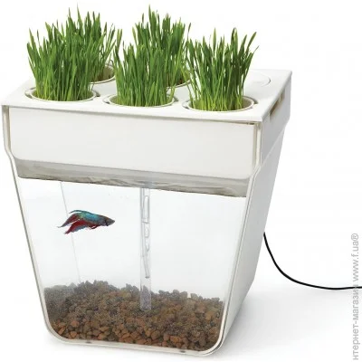 Aquafarm Самоочищающийся аквариум купить в Киеве, Украине: Цена и ...