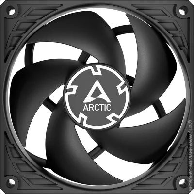 Arctic    P9 Max (2611916223)