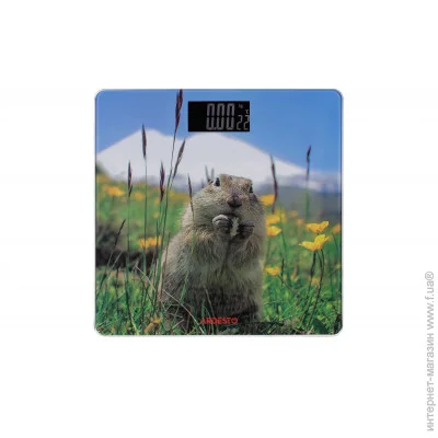    Ardesto SCB-965 MARMOT