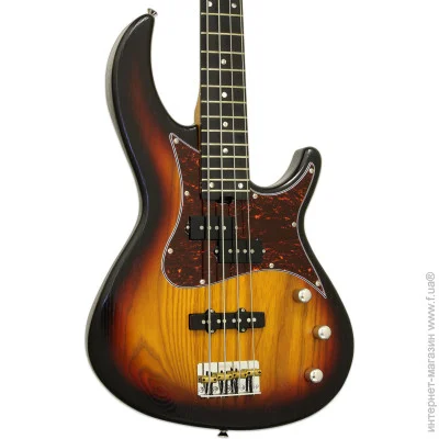 - Aria 313-MK2 OPSB