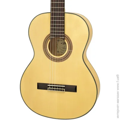   Aria A-20F