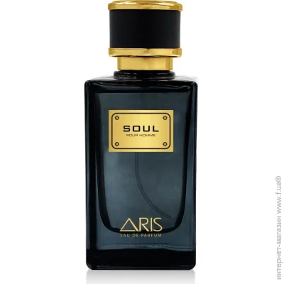     ARIS Soul 100 