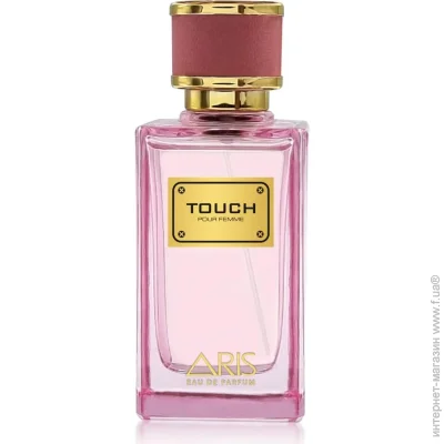     ARIS Touch 100 