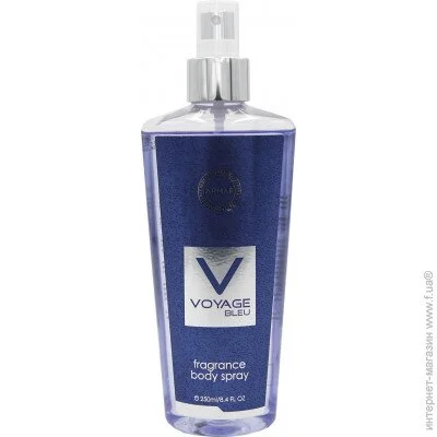      Armaf Voyage Bleu 250 