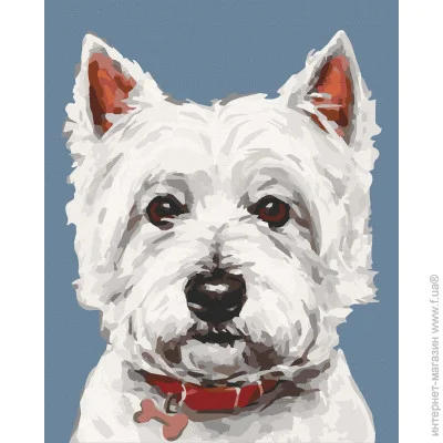 Art Craft     ' 40x50 (11652-AC)